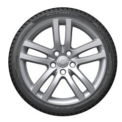 Hankook (255/50R18XL 106V HAN WINTER I*CEPT EVO2 W320 MO BW)