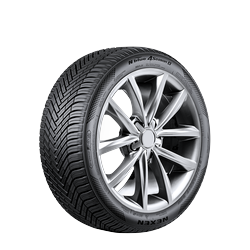 Nexen (205/55R17/4 95V NEX N BLUE 4 SEASON 2 BW)