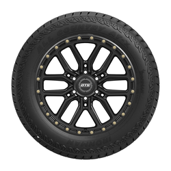 Ironman (LT265/70R17/10 123/120R IRON ALL COUNTRY AT-X 3PMS BW)